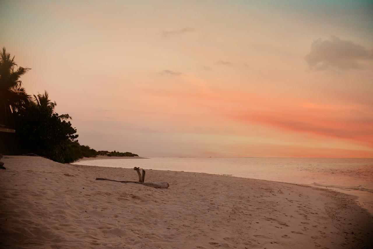 The Castaway Retreat Otel Feridhoo Dış mekan fotoğraf