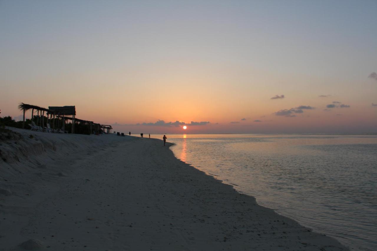 The Castaway Retreat Otel Feridhoo Dış mekan fotoğraf