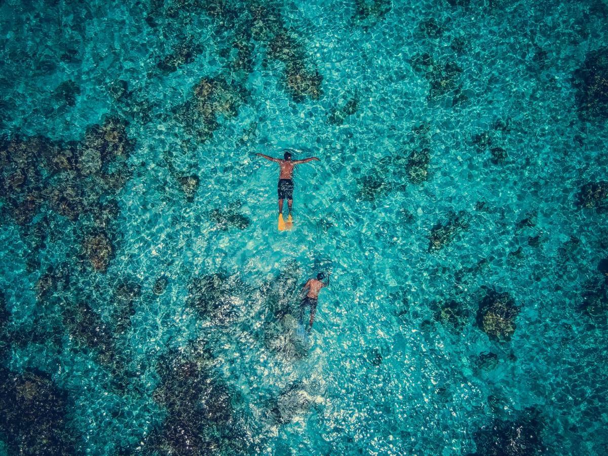The Castaway Retreat Otel Feridhoo Dış mekan fotoğraf